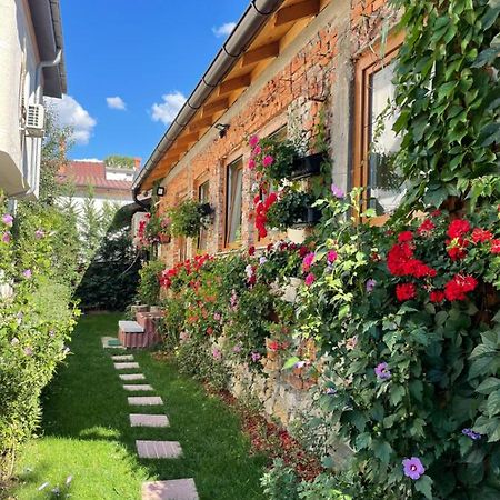 Flower House In The City Center! Priština Exteriér fotografie