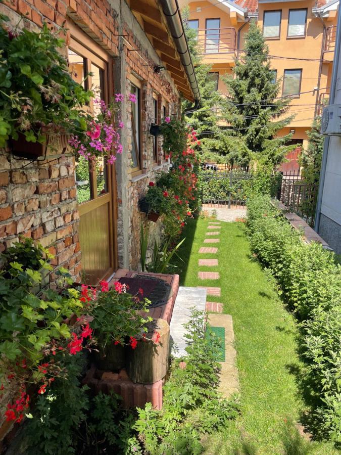Flower House In The City Center! Priština Exteriér fotografie